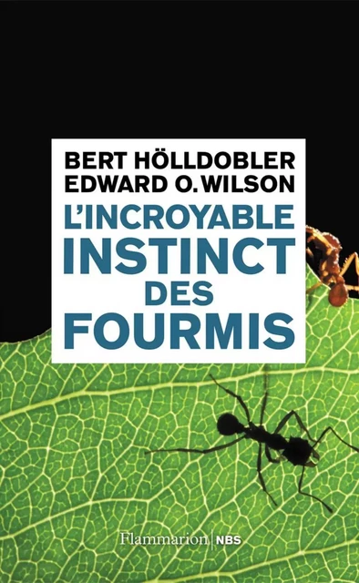 L'incroyable instinct des fourmis - Edward O. Wilson, Bert Hölldobler - Flammarion