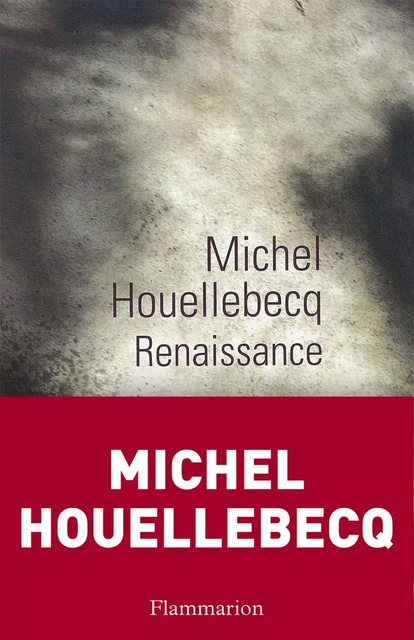 Renaissance - Michel Houellebecq - Flammarion