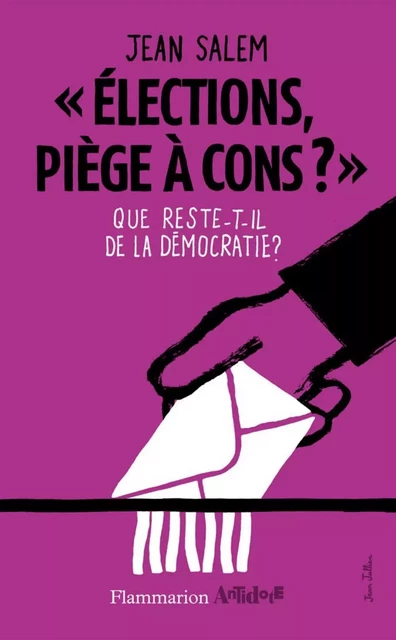 Élections, piège à cons ? - Jean Salem - Flammarion