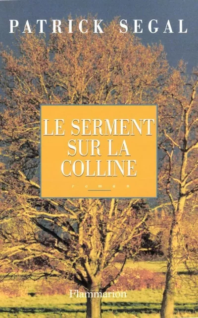 Le serment sur la colline - Patrick Segal - Flammarion