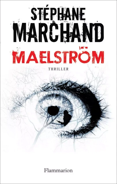 Maelström - Stéphane Marchand - Flammarion