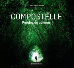 Compostelle. Paroles de pèlerins