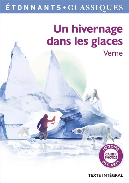 Un hivernage dans les glaces - Jules Verne - Flammarion