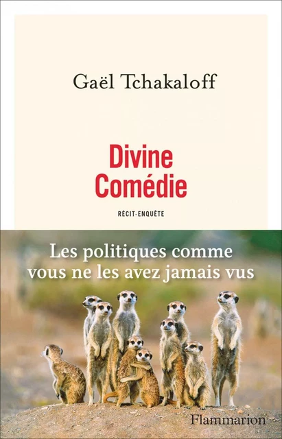 Divine Comédie - Gaël Tchakaloff - Flammarion