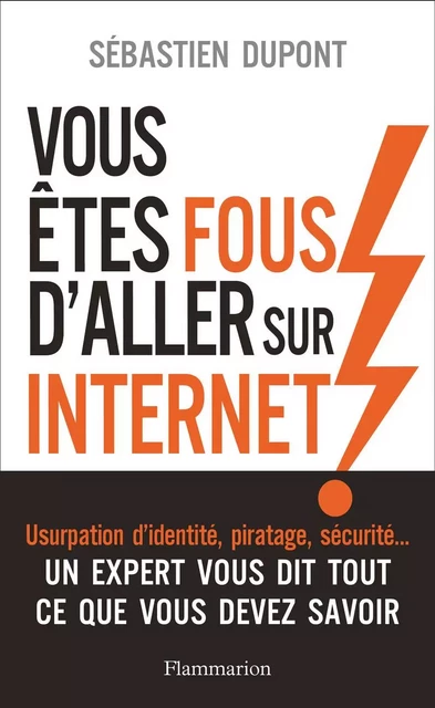 Vous êtes fous d'aller sur Internet ! - Sébastien Dupont - Flammarion