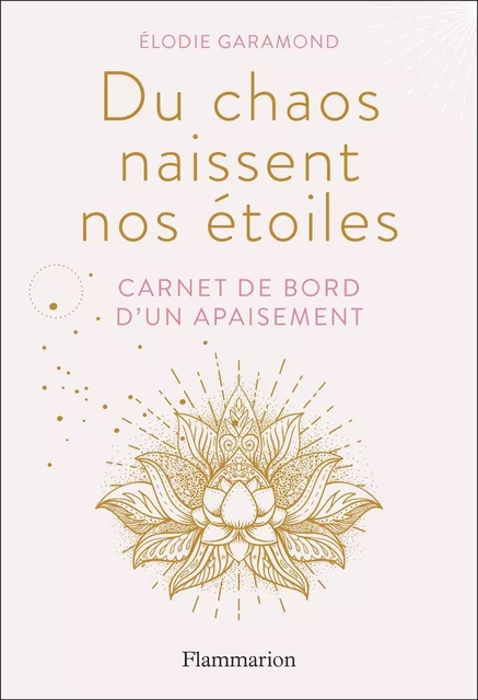 Du chaos naissent les étoiles - Élodie Garamond - Flammarion