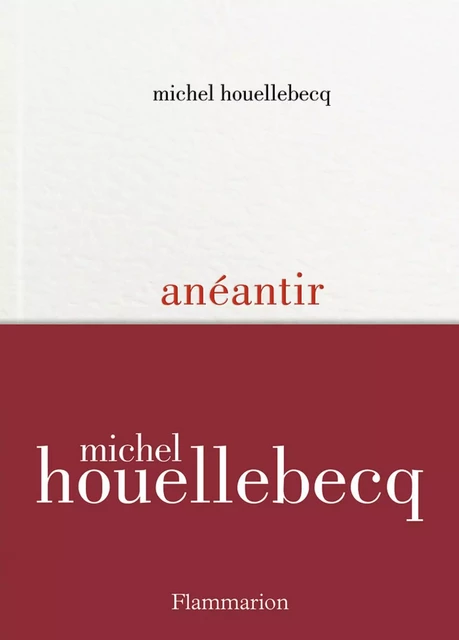 Anéantir - Michel Houellebecq - Flammarion