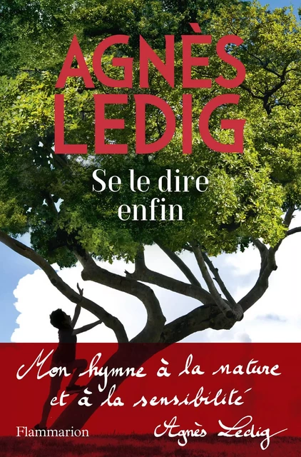 Se le dire enfin - Agnès Ledig - Flammarion