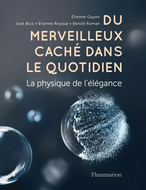 Du merveilleux caché dans le quotidien. La physique de l'élégance -  Collectif, Étienne Guyon - Flammarion