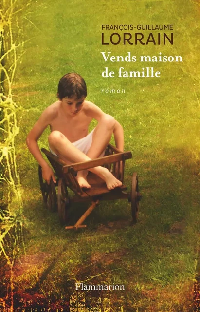 Vends maison de famille - François-Guillaume Lorrain - Flammarion