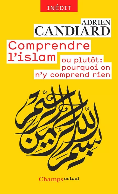 Comprendre l'islam. ou plutôt : pourquoi on n'y comprend rien - Adrien Candiard - Flammarion