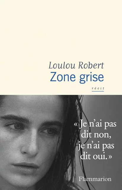 Zone grise - Loulou Robert - Flammarion