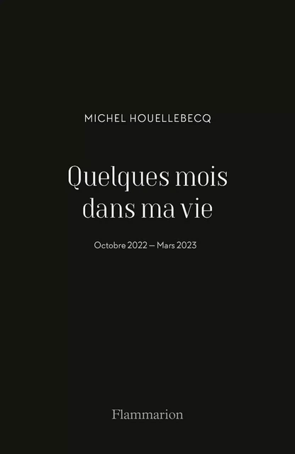 Quelques mois dans ma vie - Michel Houellebecq - Flammarion