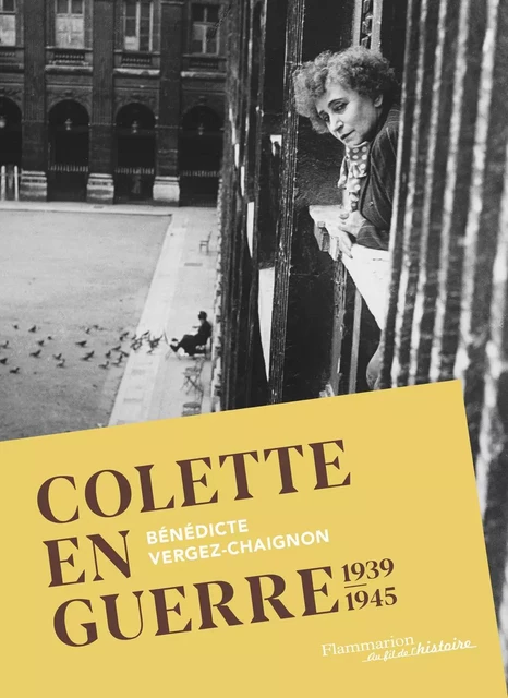 Colette en guerre - Bénédicte Vergez-Chaignon - Flammarion