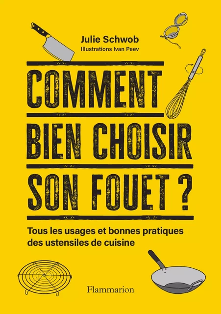 Comment bien choisir son fouet ? - Julie Schwob - Flammarion