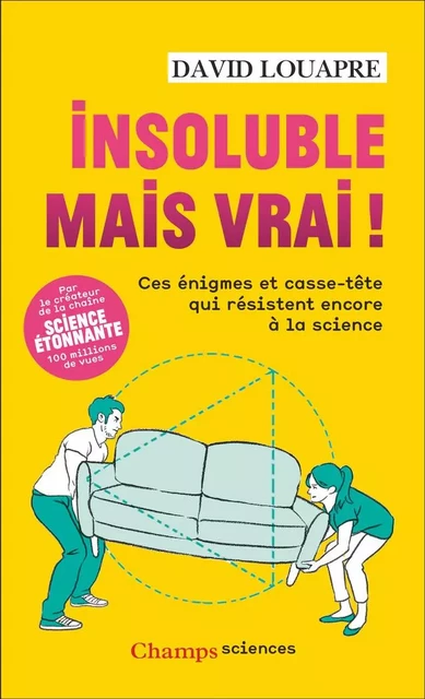 Insoluble mais vrai ! - David Louapre - Flammarion