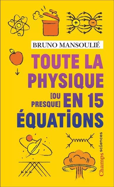 Toute la physique [ou presque] en 15 équations - Bruno Mansoulié - Flammarion