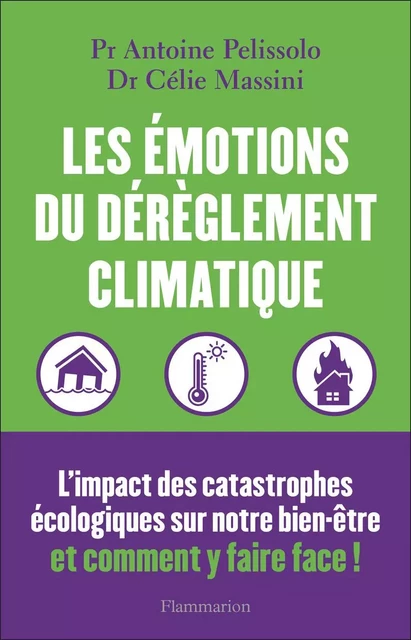 Les émotions du dérèglement climatique - Antoine Pelissolo, Célie Massini - Flammarion