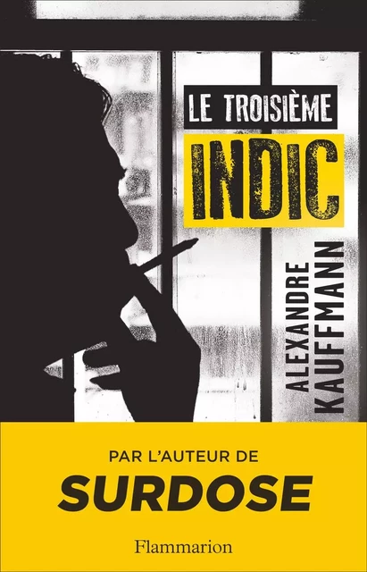 Le troisième indic - Alexandre Kauffmann - Flammarion