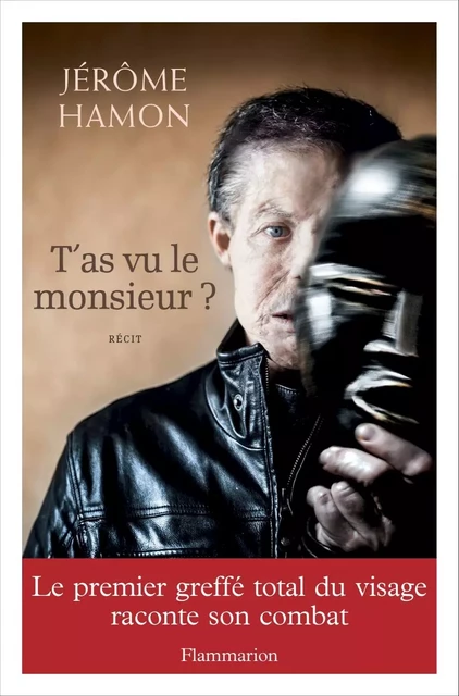 T'as vu le monsieur ? - Jérôme Hamon - Flammarion