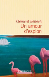 Un amour d'espion