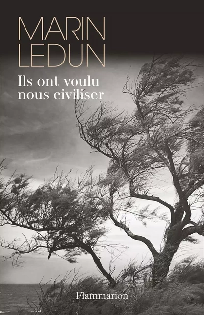 Ils ont voulu nous civiliser - Marin Ledun - Flammarion