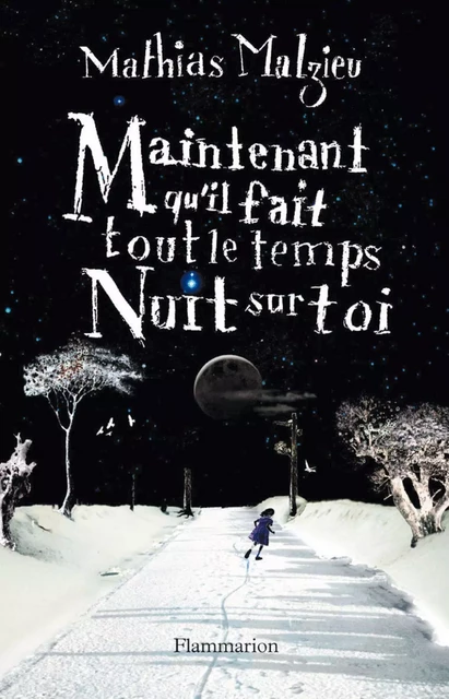 Maintenant qu'il fait tout le temps nuit sur toi - Mathias Malzieu - Flammarion