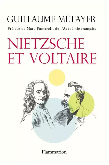 Nietzsche et Voltaire - Guillaume Métayer - Flammarion