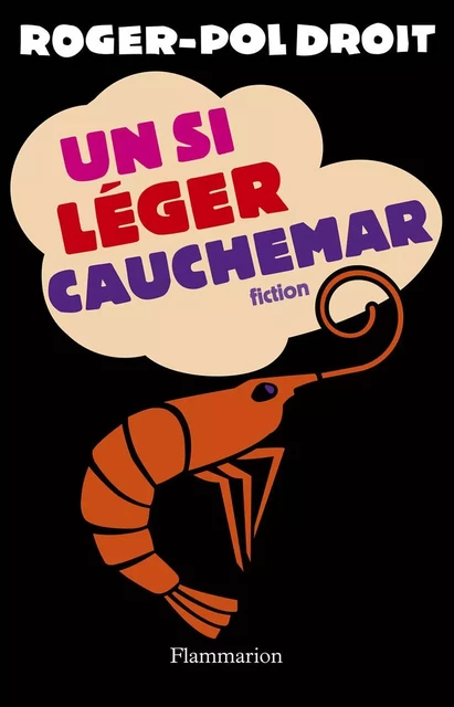 Un si léger cauchemar - Roger-Pol Droit - Flammarion