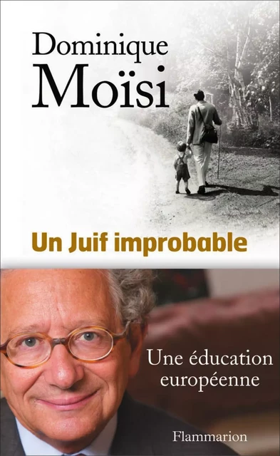 Un Juif improbable - Dominique Moisi - Flammarion