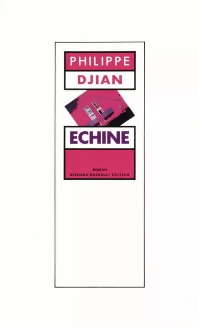 Échine - Philippe Djian - Flammarion