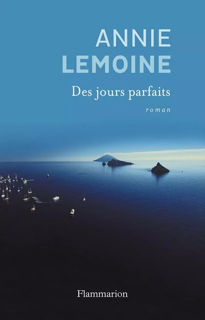 Des jours parfaits - Annie Lemoine - Flammarion