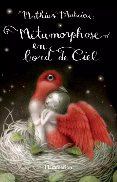 Métamorphose en bord de ciel - Mathias Malzieu - Flammarion