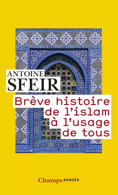 Brève histoire de l'islam à l'usage de tous - Antoine Sfeir - Flammarion