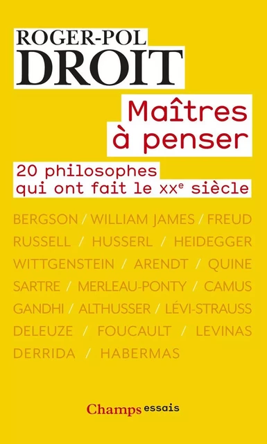 Maîtres à penser - Roger-Pol Droit - Flammarion