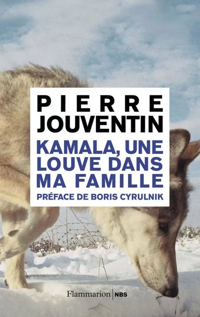 Kamala, une louve dans ma famille - Pierre Jouventin - Flammarion