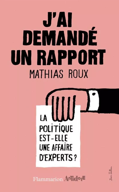 J'ai demandé un rapport - Mathias Roux - Flammarion