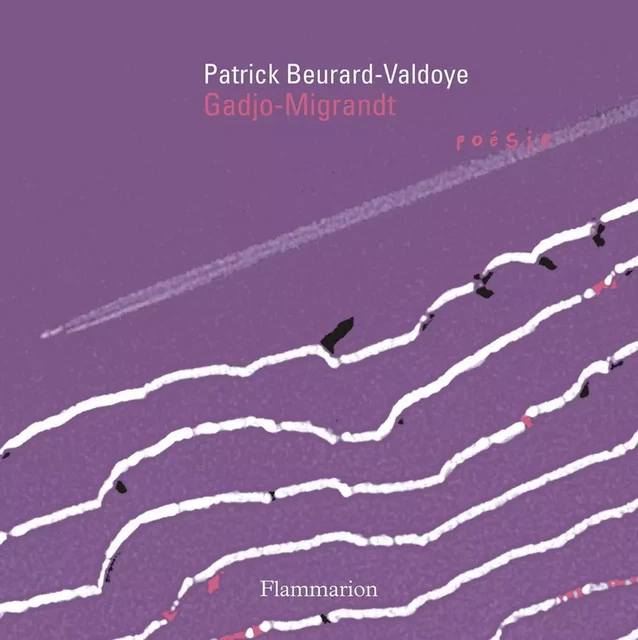 Gadjo-Migrandt - Patrick Beurard-Valdoye - Flammarion