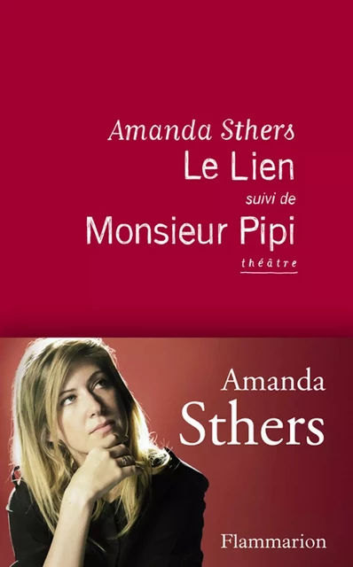 Le Lien suivi de Monsieur Pipi - Amanda Sthers - Flammarion