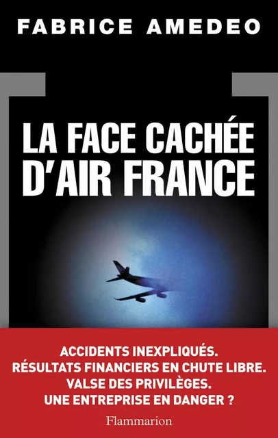 La Face cachée d'Air France - Fabrice Amedeo - Flammarion