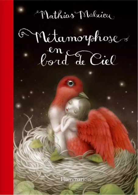 Métamorphose en bord de ciel - Edition de luxe - Mathias Malzieu - Flammarion