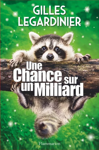 Une chance sur un milliard - Gilles LEGARDINIER - Flammarion