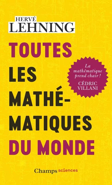 Toutes les mathématiques du monde - Hervé Lehning - Flammarion