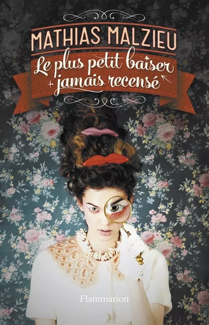 Le plus petit baiser jamais recensé - Mathias Malzieu - Flammarion