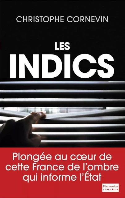 Les Indics - Christophe Cornevin - Flammarion