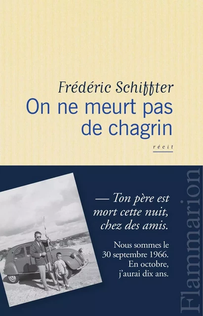 On ne meurt pas de chagrin - Frédéric Schiffter - Flammarion