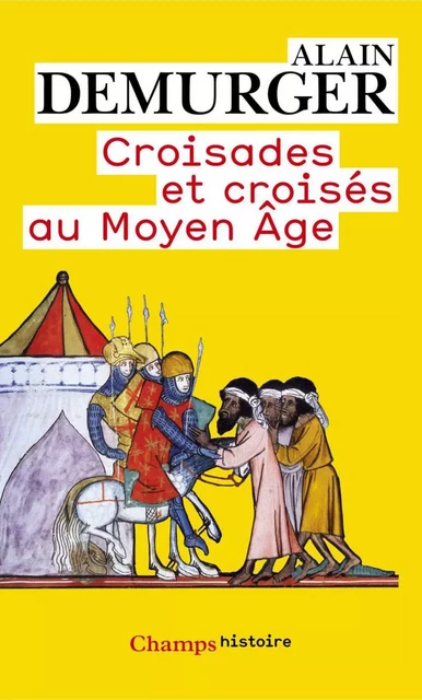 Croisades et croisés au Moyen Âge - Alain Demurger - Flammarion