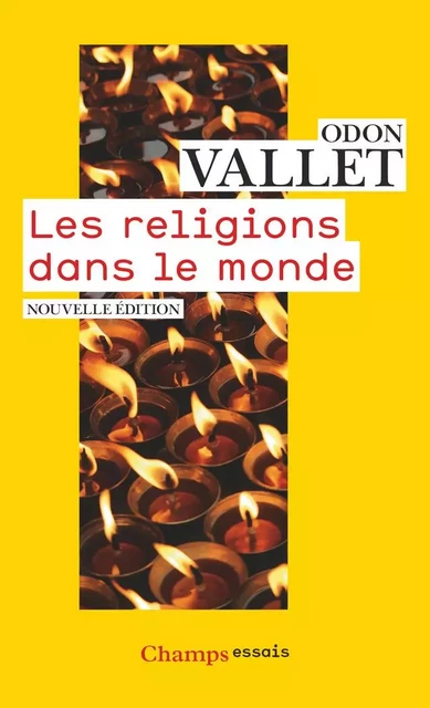 Les religions dans le monde - Odon Vallet - Flammarion