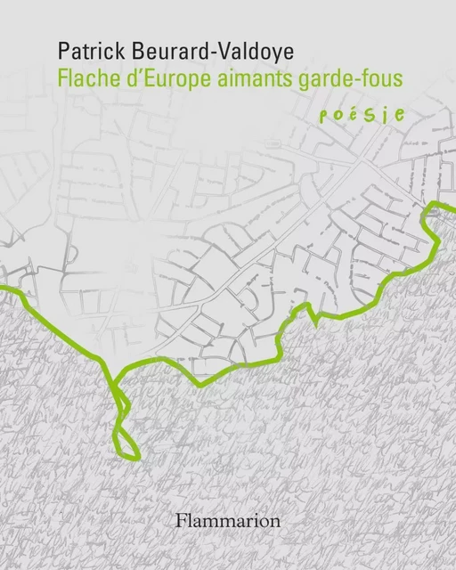 Cycle des exils (VII) - Flache d’Europe aimants garde-fous - Patrick Beurard-Valdoye - Flammarion