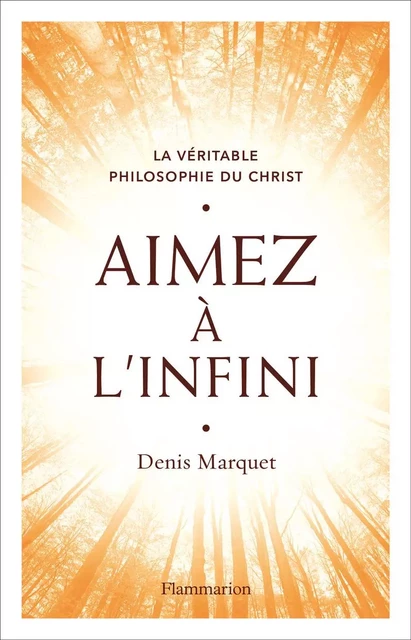 Aimez à l'infini - Denis Marquet - Flammarion